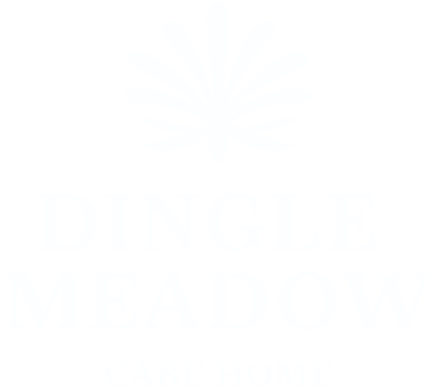 Dingle Meadow Care Home